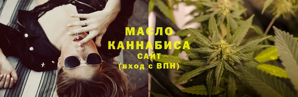 СК Алексин