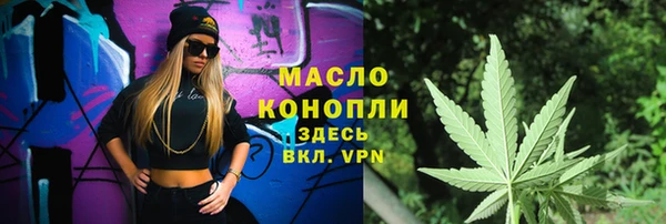 СК Алексин