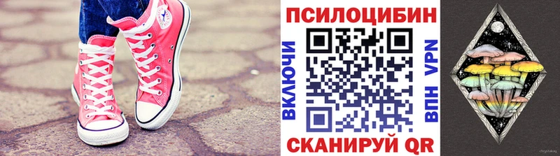 omg как зайти  площадка клад  Псилоцибиновые грибы Psilocybe  наркошоп  Краснодар 